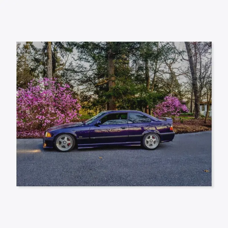 Purple Car